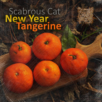 New Year Tangerine (Instrumental Mix)