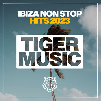 Ibiza Non Stop Hits 2023