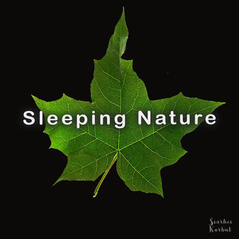 Sleeping Nature