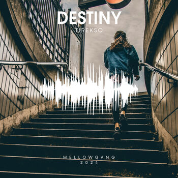 Destiny