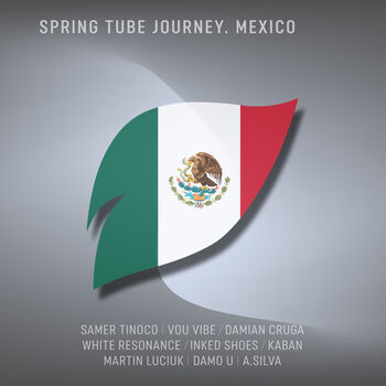 Spring Tube Journey. Mexico