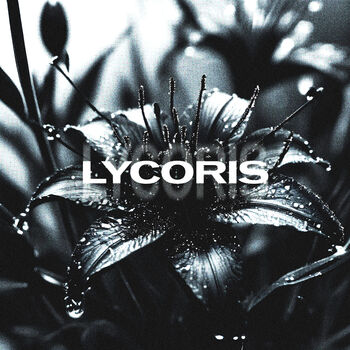 lycoris