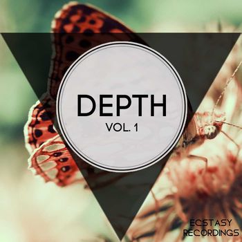 Depth, Vol.1
