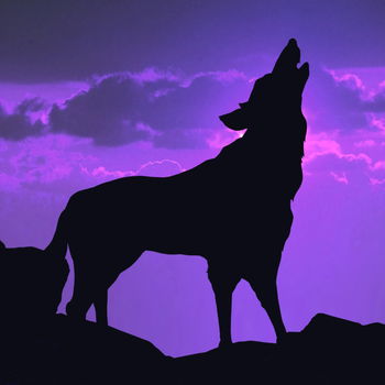 Purple Wolf Music