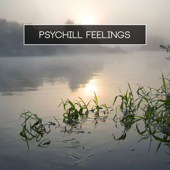 Psychill Feelings