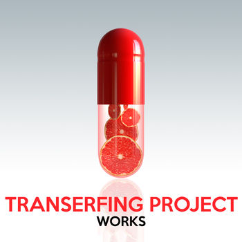 Transerfing Project Works