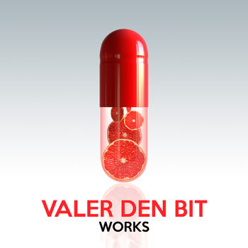 Valer Den Bit Works