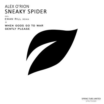 Sneaky Spider