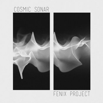 Cosmic Sonar