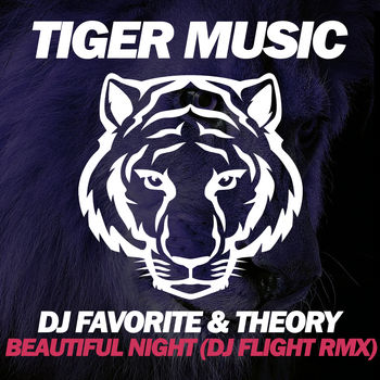 Beautiful Night (DJ Flight Remix)