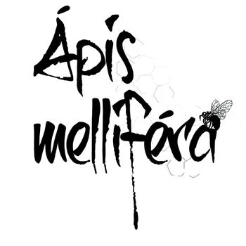 Apis Mellifera