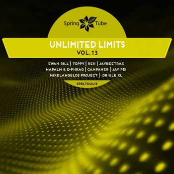 Unlimited Limits, Vol.13