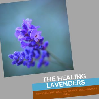 The Healing Lavenders - Tracks For Brain Healing, Spiritual Healing & Deep Sleep