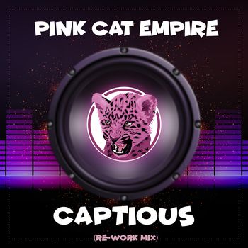 Captious (Re-Work Mix)