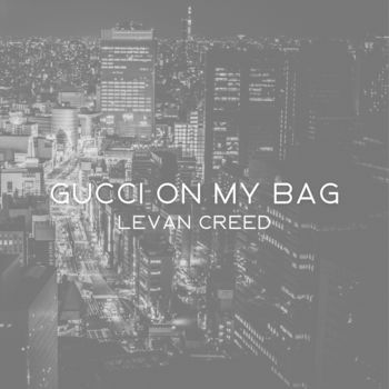 Gucci on my bag