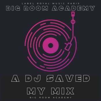 A DJ Saved My Mix