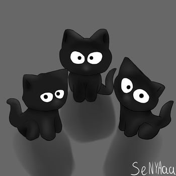 чёрные кошки