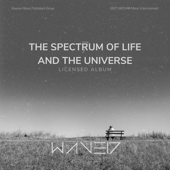 The Spectrum Of Life And The Universe