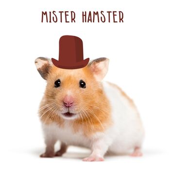 Mister Hamster