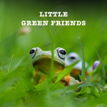 Little green friends